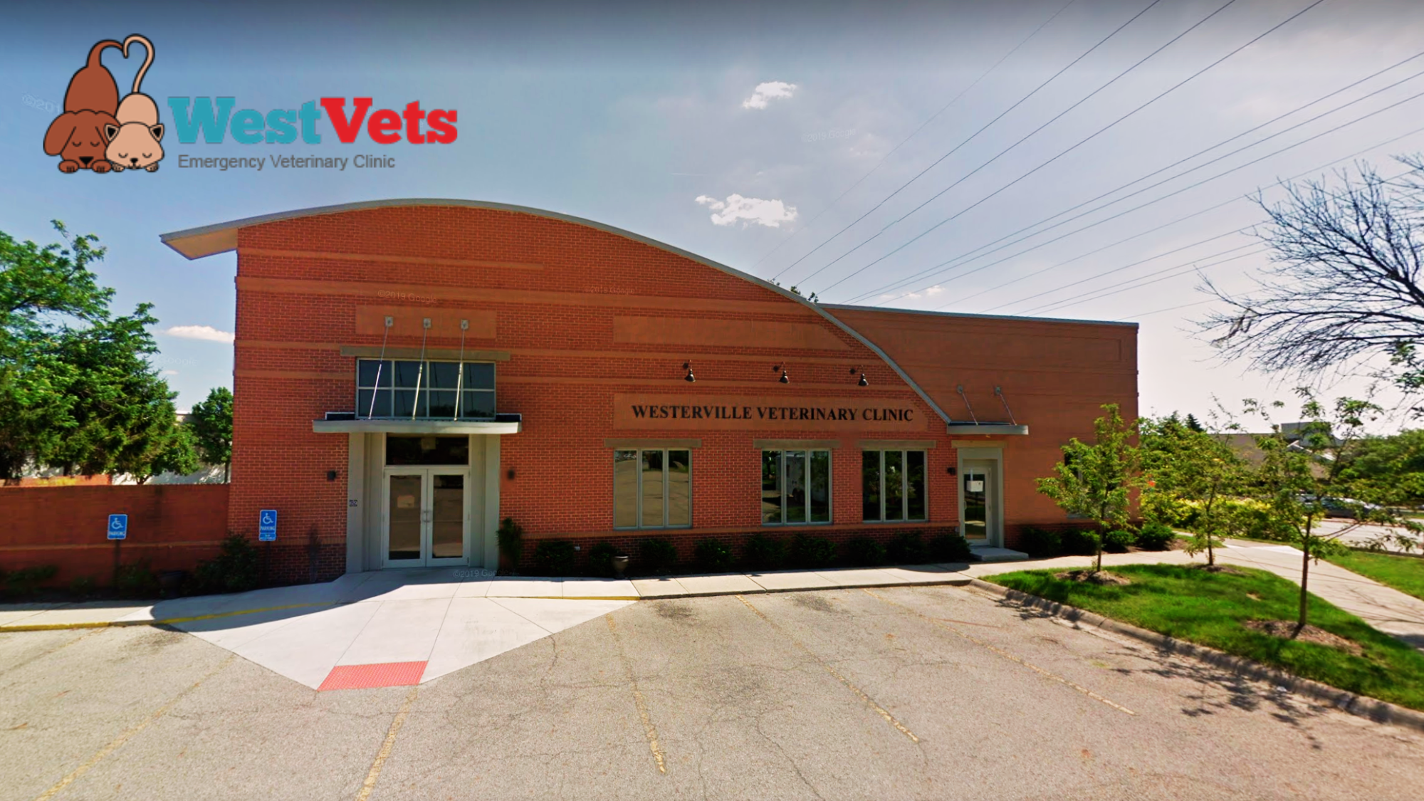 WestVets Emergency Veterinary Clinic's cover image