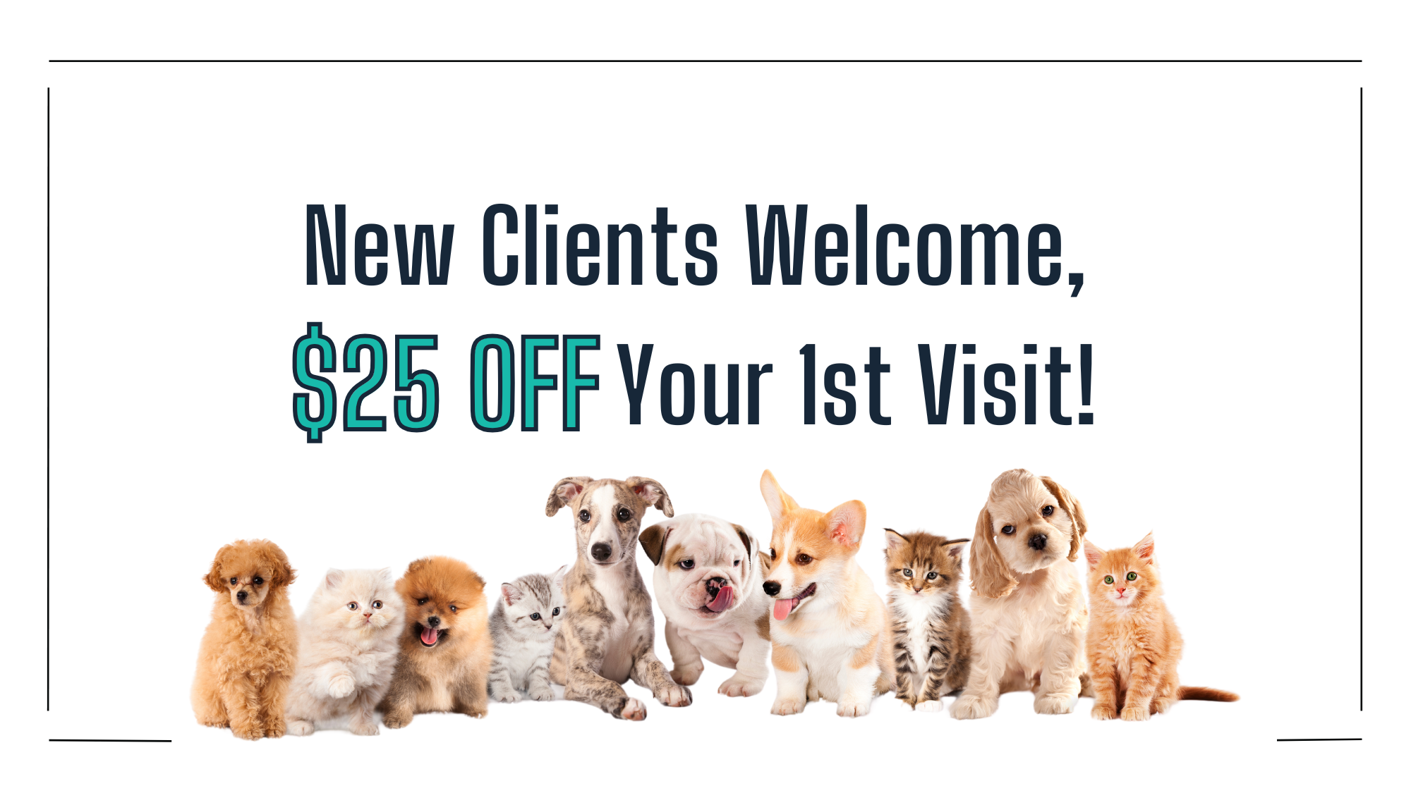 Tequesta Veterinary Clinic's cover image