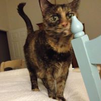 Sandy Friske Hazelbaker's profile image