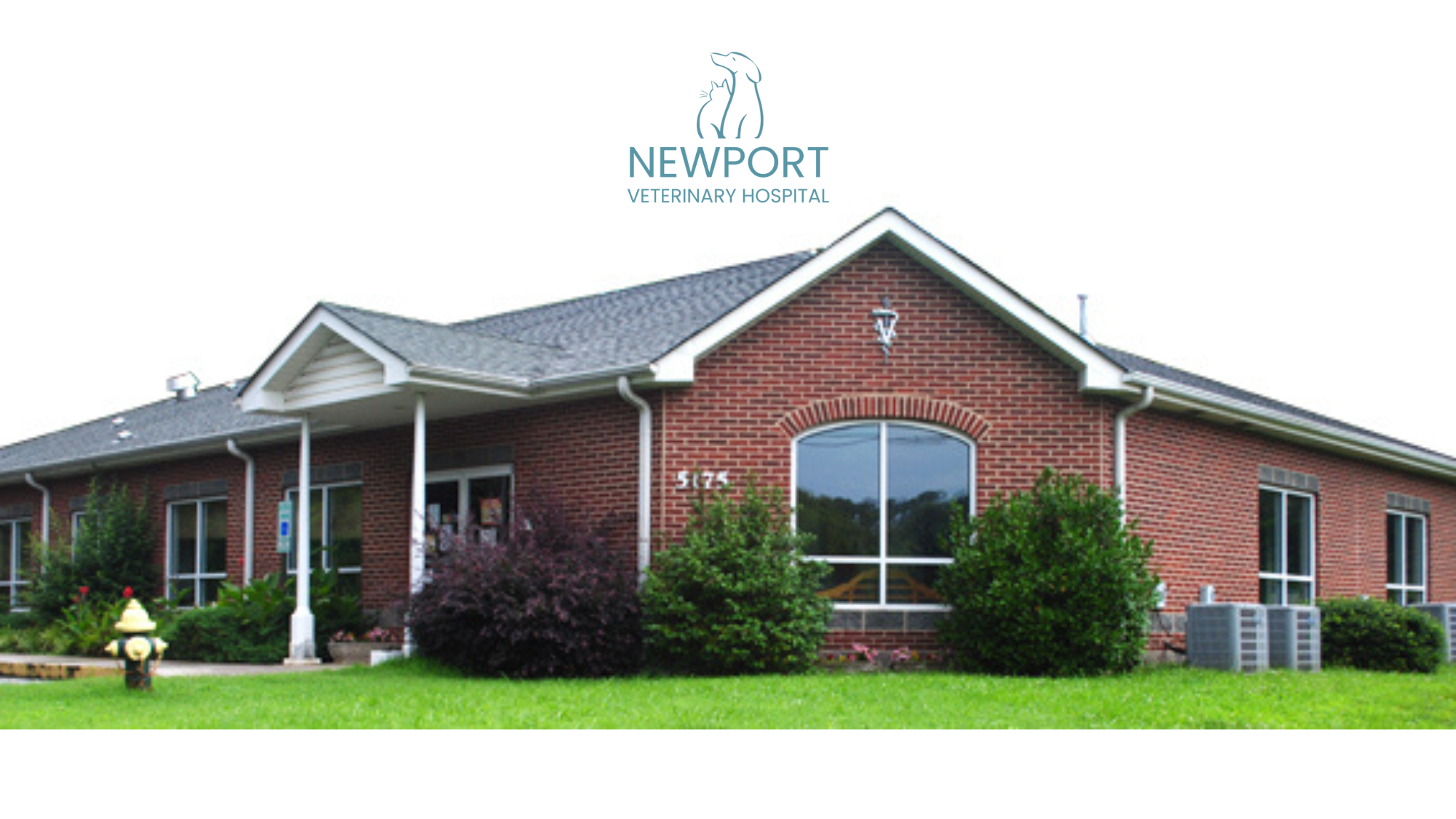 Newport Veterinary Hospital's cover image