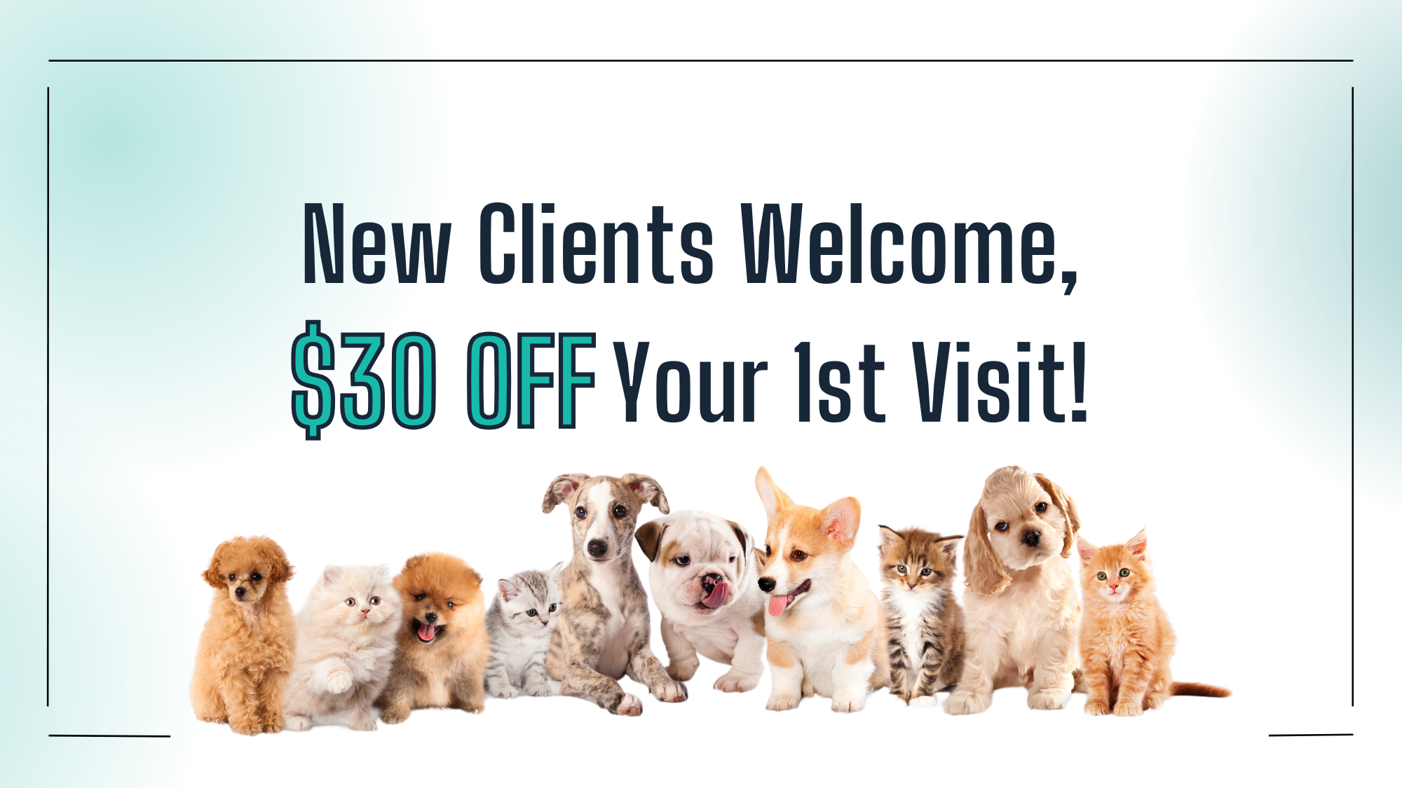 Haw Creek Animal Hospital's cover image