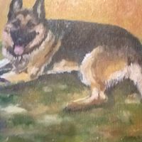 Michael Curran's profile image