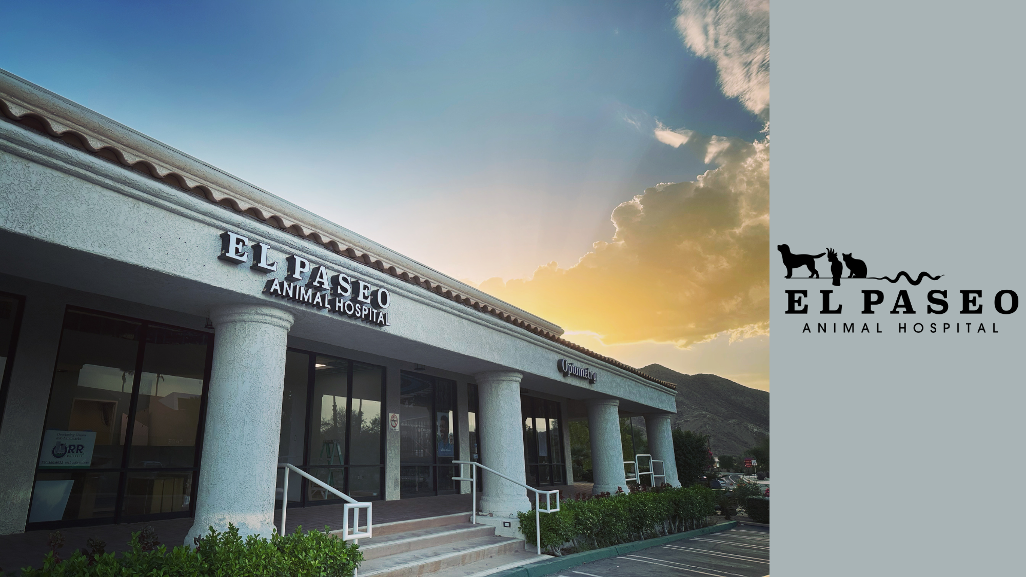 El Paseo Animal Hospital's cover image
