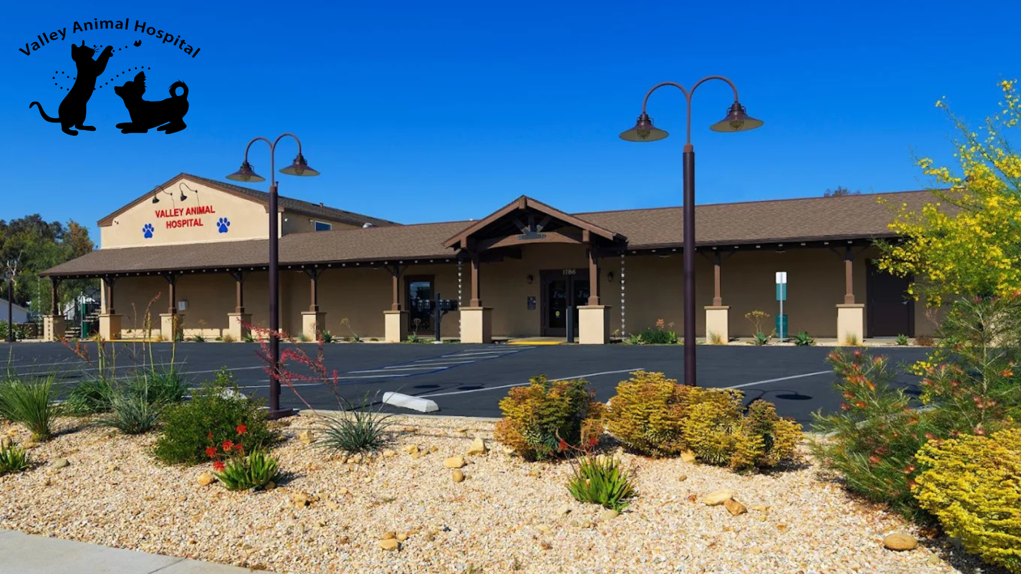 Valley Animal Hospital's cover image