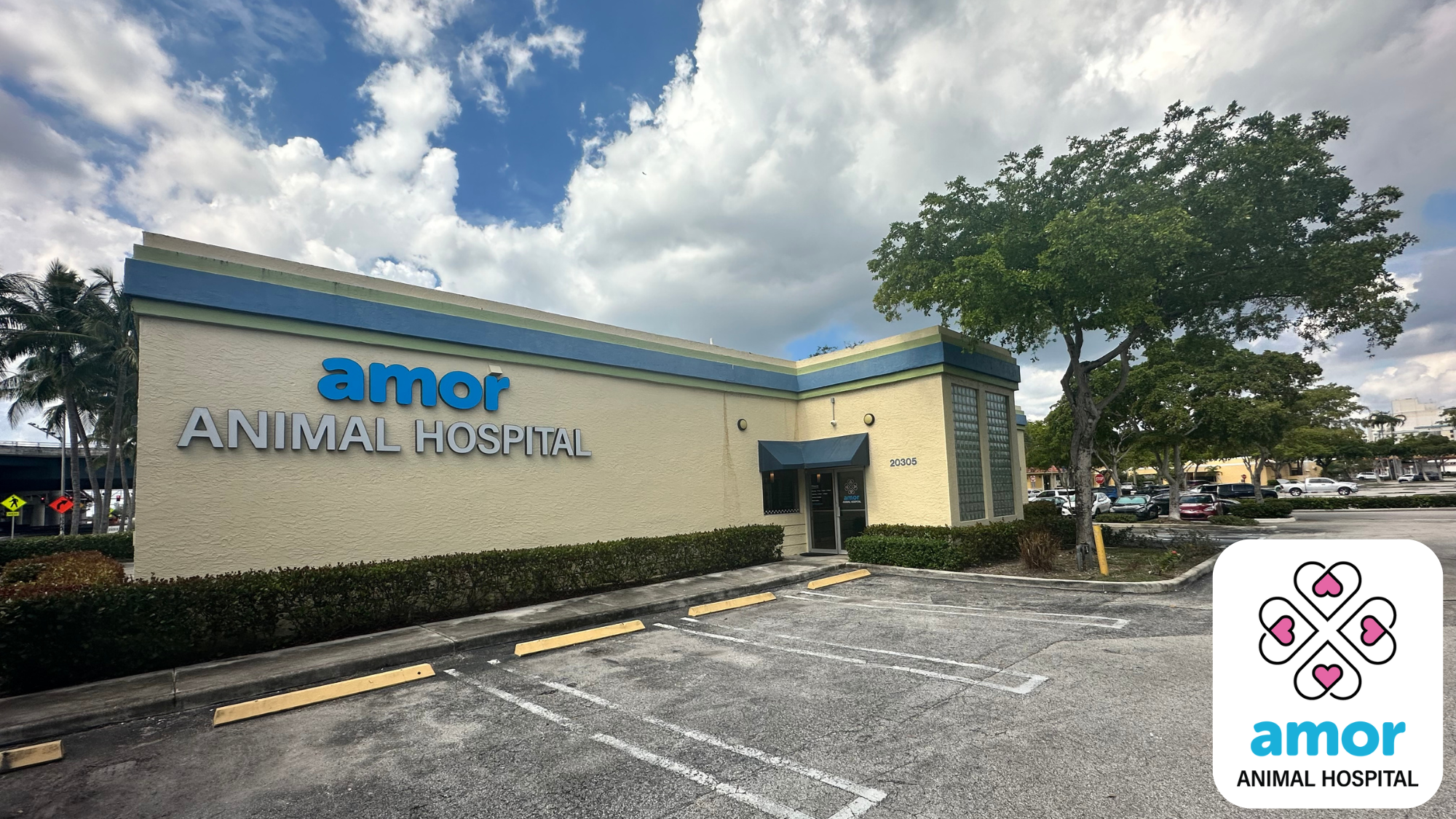 Amor Animal Hospital's cover image