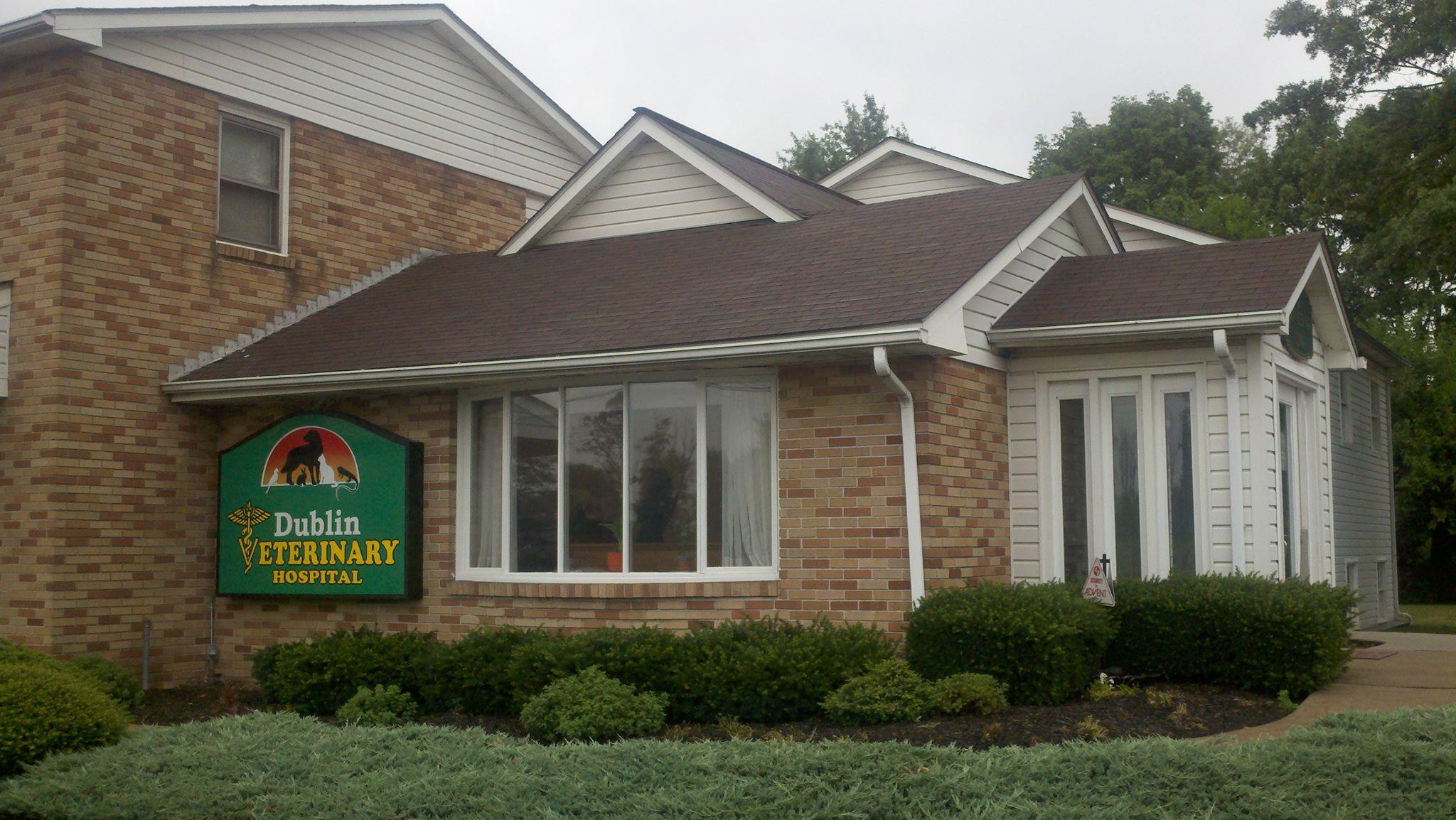Dublin Veterinary Hospital's cover image