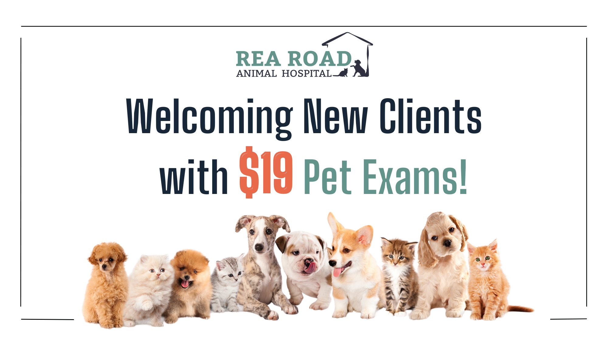 Rea Road Animal Hospital's cover image