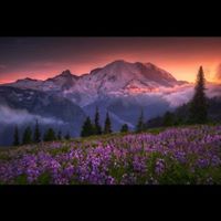 Chris Trythall's profile image