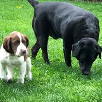 Robin Patton's profile image