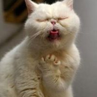 Twila Huie's profile image