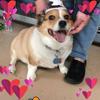 Kathleen Mathews's profile image