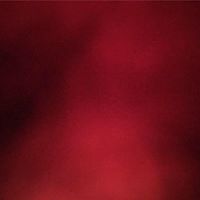 Dori Wisniewski's profile image