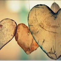 Teri Stafford's profile image