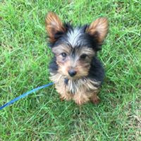 Mary Wolpert Christian's profile image