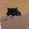 Pete R.'s profile image
