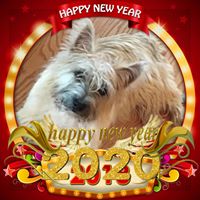 Pamela Glascock Kalinsky's profile image