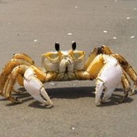 Bernie O'Donnell's profile image
