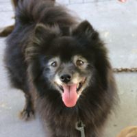 Deb Patterson's profile image
