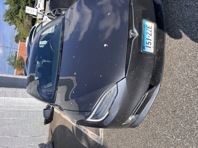 Elizabeth D.'s post 1
