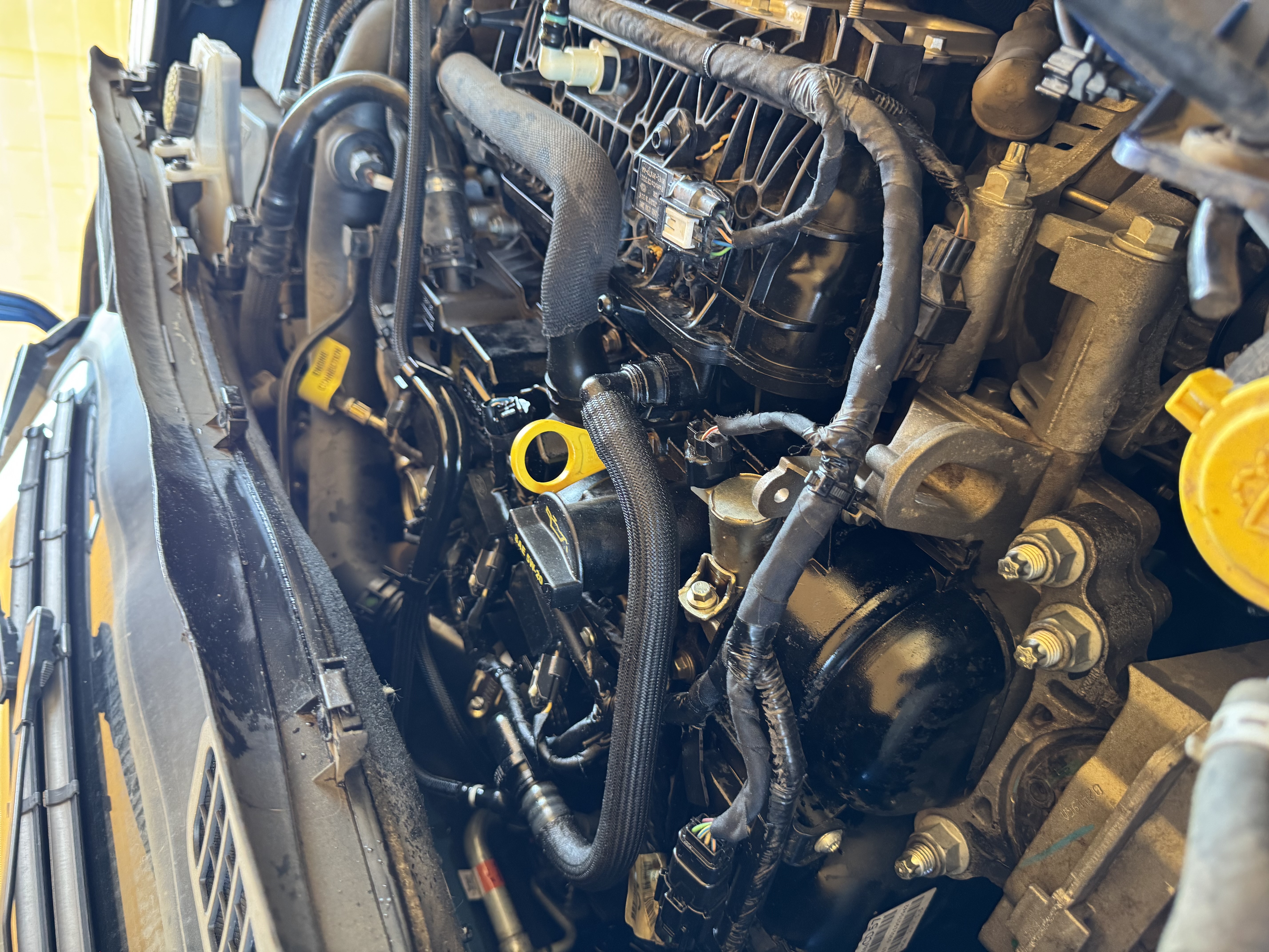 giancarlofuo's post 1