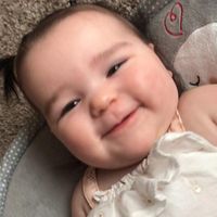 Jennifer Hamlin Stogsdill's profile image