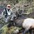 George A. Gedon's profile image