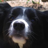 Aileen Lewer's profile image