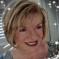 Carol Stammeijer's profile image