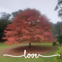 Kylie Thorsby's profile image