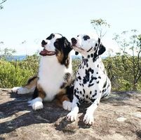 Michelle Bower's profile image
