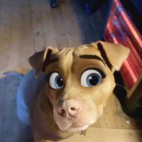 Erin Lea's profile image
