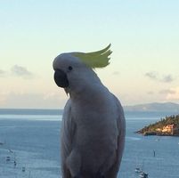 David James's profile image
