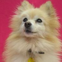 Teresa Vallis's profile image