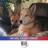 Michelle Geisel's profile image