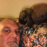 Ross Cockburn's profile image