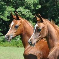 Judith Ann's profile image