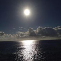 Belinda Paull's profile image