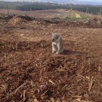 Joanne Blumer's profile image