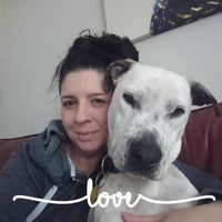 Trish Hughes's profile image