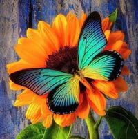 Kelli Hines's profile image