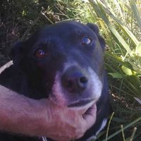 Gaye Tavener's profile image