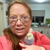Kelly Connor's profile image