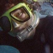 Kim Headlee avatar