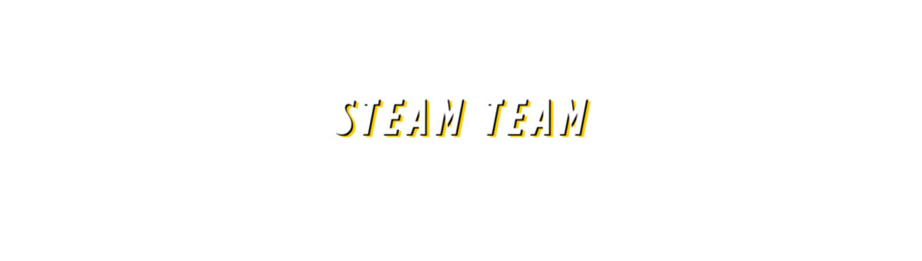 Steam Team's cover image