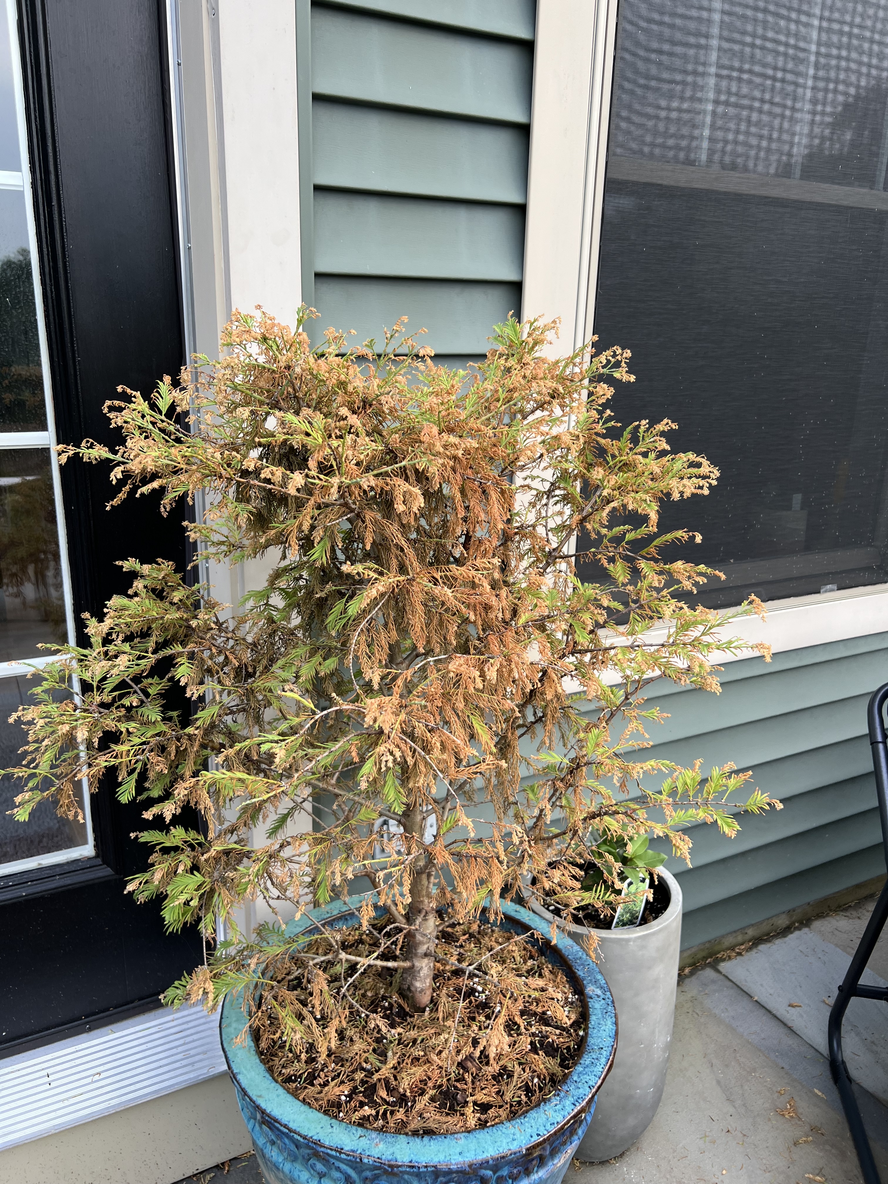 Jennifer C.'s post 1