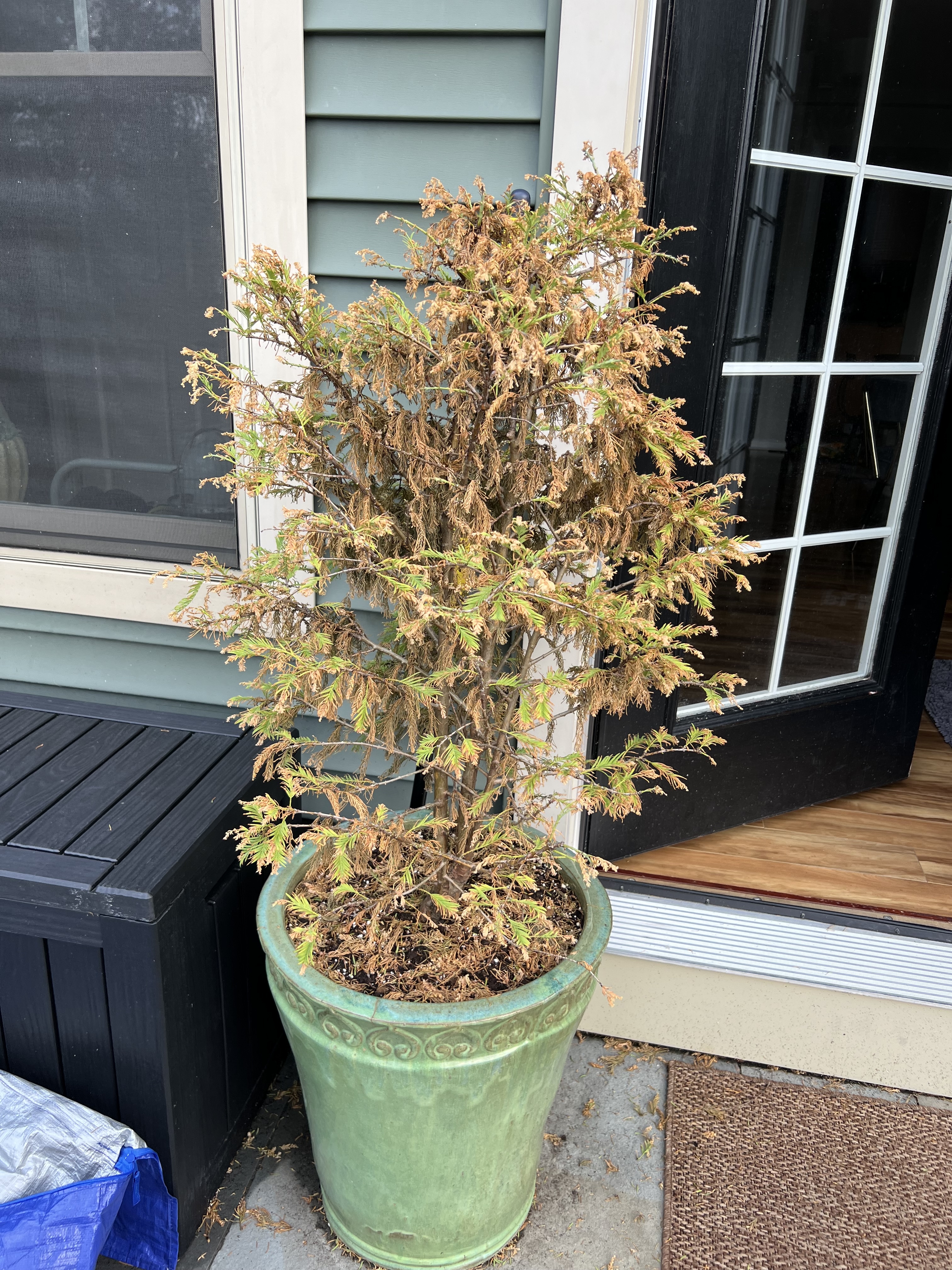 Jennifer C.'s post 2