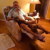 David Mcmichael's profile image
