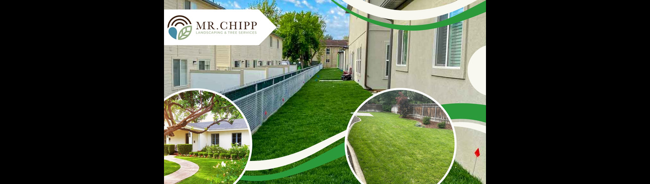 Mr Chipp Landscaping's cover image