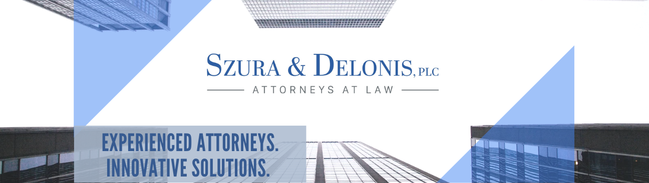 Szura & Delonis, PLC's cover image