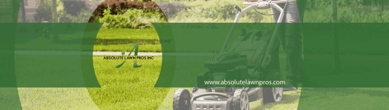 Absolute Lawn Pros, Inc.'s cover image